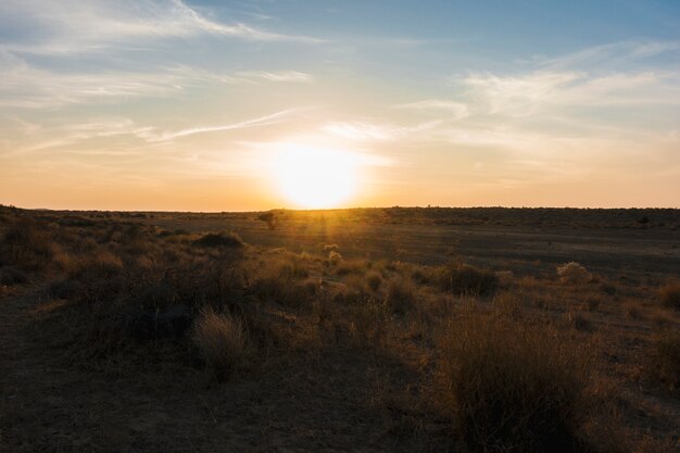 Thar pustynia w Rajasthan India