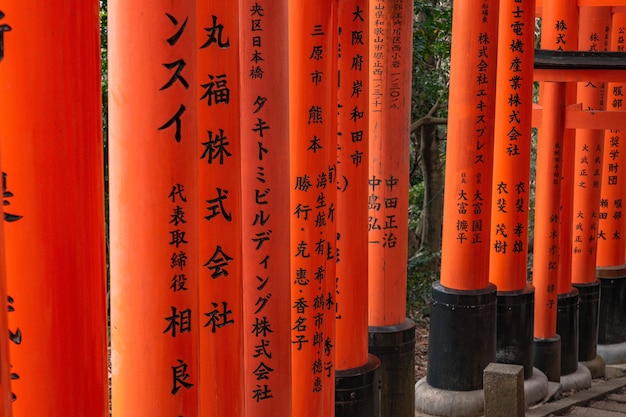 Bezpłatne zdjęcie throusand torii, świątynia fushima inari