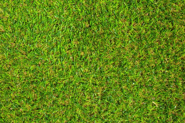 Tła zielona trawa tła
