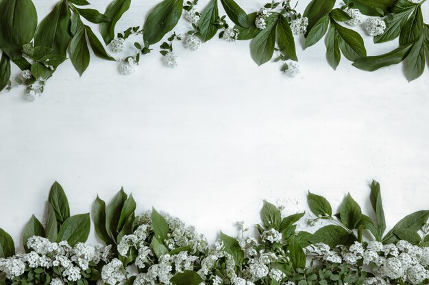 Tło z naturalnymi liśćmi i gałęziami kwiatów na białym tle