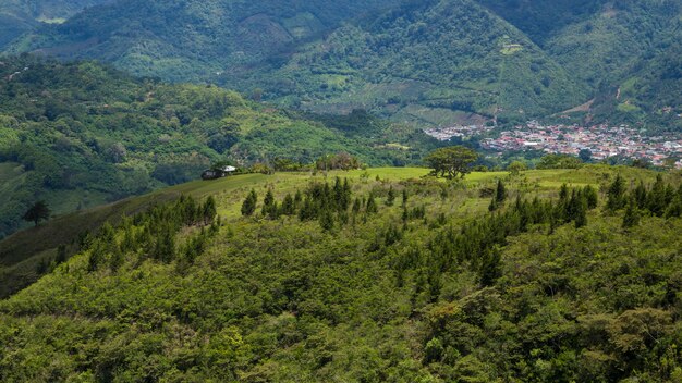 Toczące się kostarykańskie wzgórza i lasy deszczowe