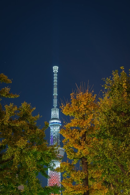 Tokyo Skytree Japonii w nocy