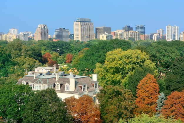 toronto city skyline