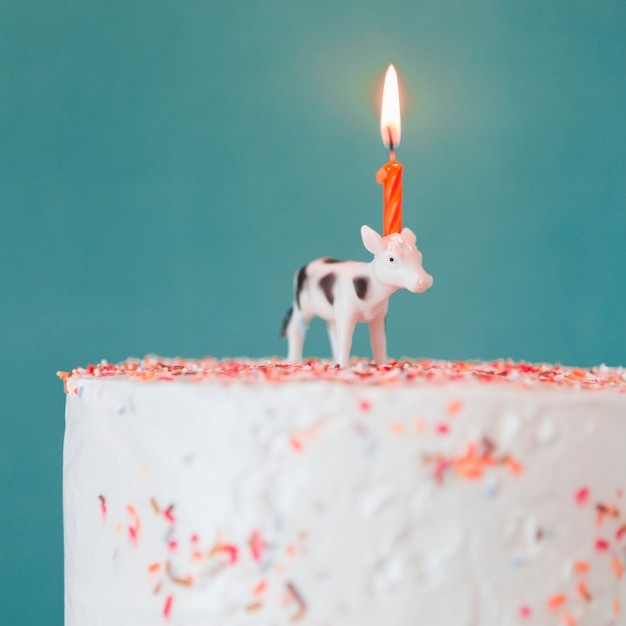Bezpłatne zdjęcie tort urodzinowy z zapalonymi świecami