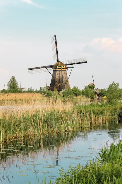 Tradycyjne holenderskie wiatraki z zieloną trawą na pierwszym planie, Holandia