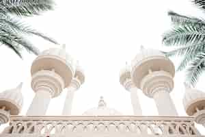 Bezpłatne zdjęcie tradycyjny islamski meczet wśród palm przy słonecznej pogodzie.