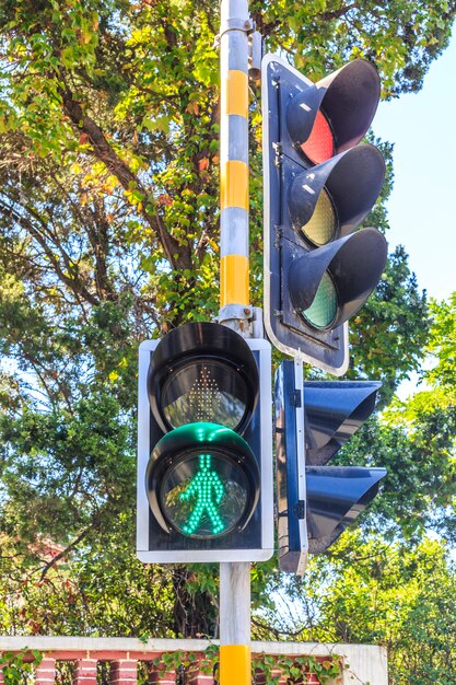 trafic światła