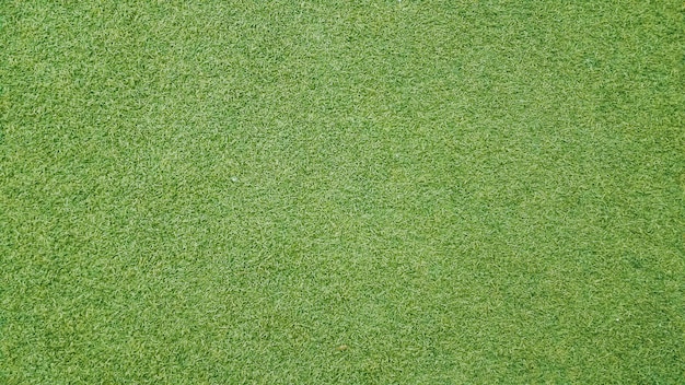 Bezpłatne zdjęcie trawy tekstury tło