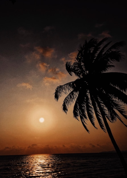 Bezpłatne zdjęcie tropikalna scena zachód słońca