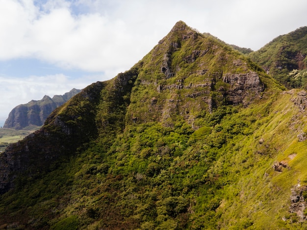 Bezpłatne zdjęcie tropikalny krajobraz hawajów z widokiem na góry