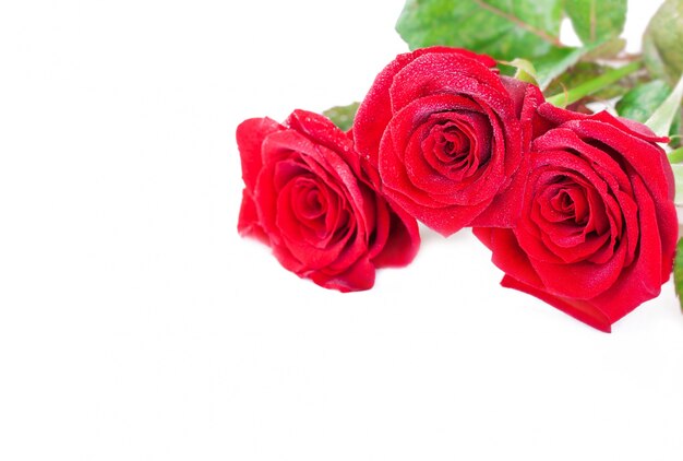 Trzy dekoracyjne czerwone róże