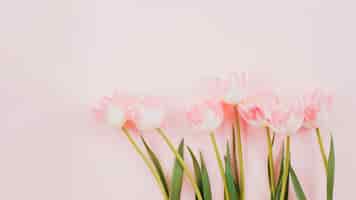 Bezpłatne zdjęcie tulipanowe kwiaty rozproszone na stole