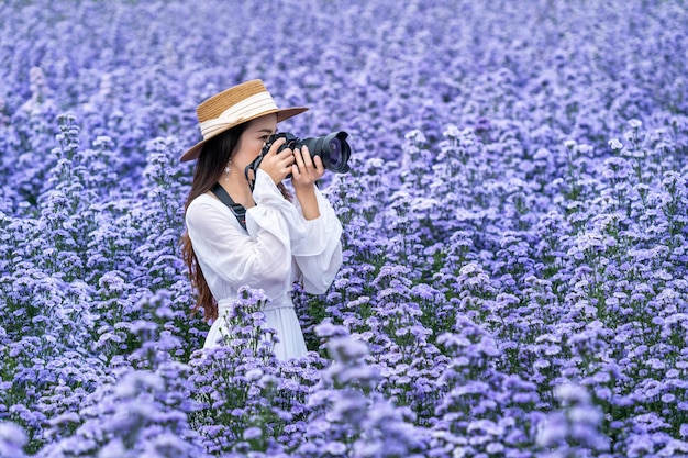 Turysta robi zdjęcie aparatem cyfrowym na polach kwiatów margaret.