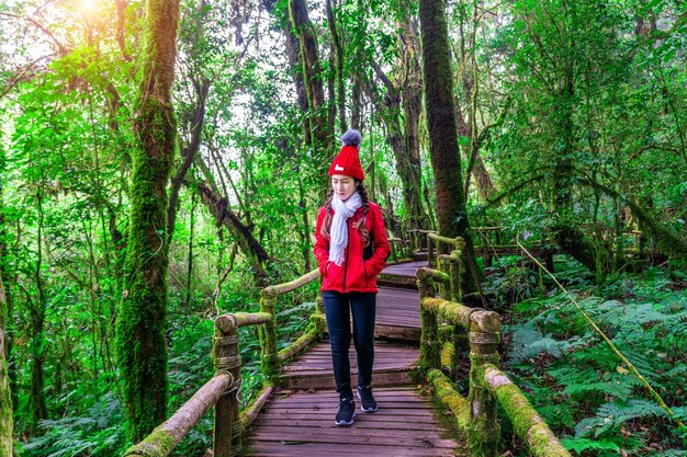 Turysta spacerujący po ścieżce dydaktycznej Ang ka w parku narodowym Doi Inthanon, Chiang mai, Tajlandia.