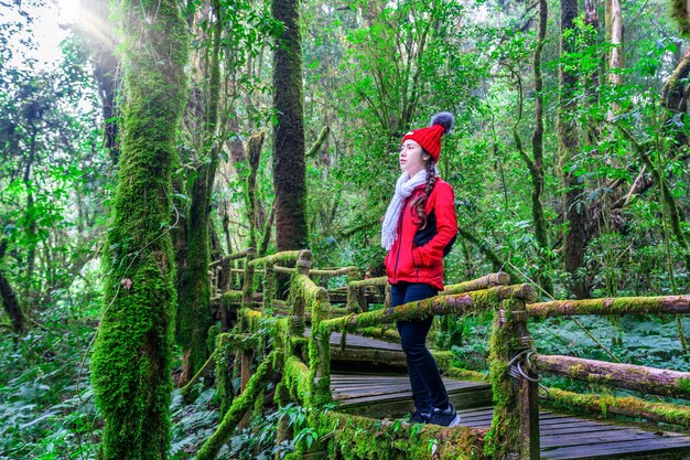 Turysta spacerujący po ścieżce dydaktycznej Ang ka w parku narodowym Doi Inthanon, Chiang mai, Tajlandia.