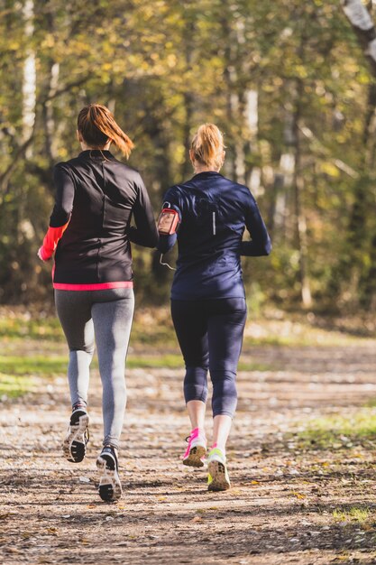 Tylny widok kobiet pracuje w parku