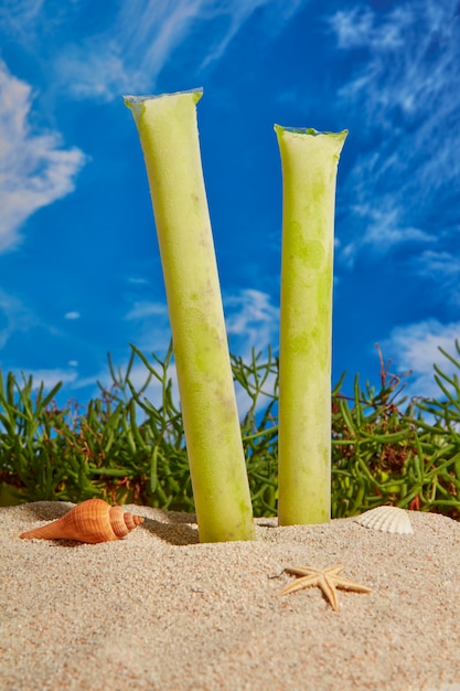 Bezpłatne zdjęcie typowe brazylijskie freezies martwa natura