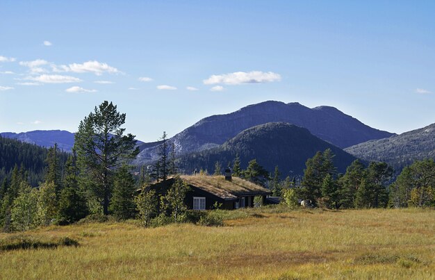 Typowy norweski wiejski domek z zapierającym dech w piersiach krajobrazem i piękną zielenią w Norwegii