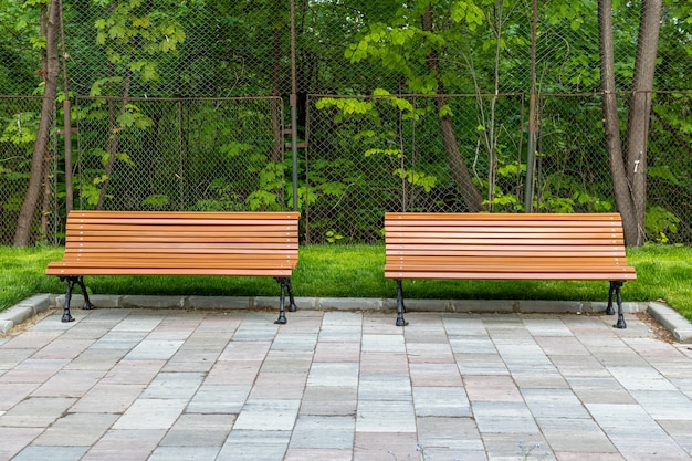 Ujęcie dwóch wolnych ławek w parku otoczonym świeżą zieloną trawą
