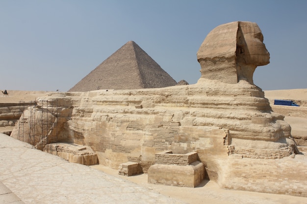Ujęcie historycznego sfinksa w środku typowej egipskiej scenerii pod czystym niebem