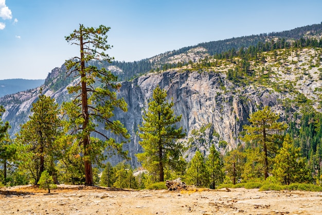 Ujęcie Malowniczej Przyrody Parku Narodowego Yosemite