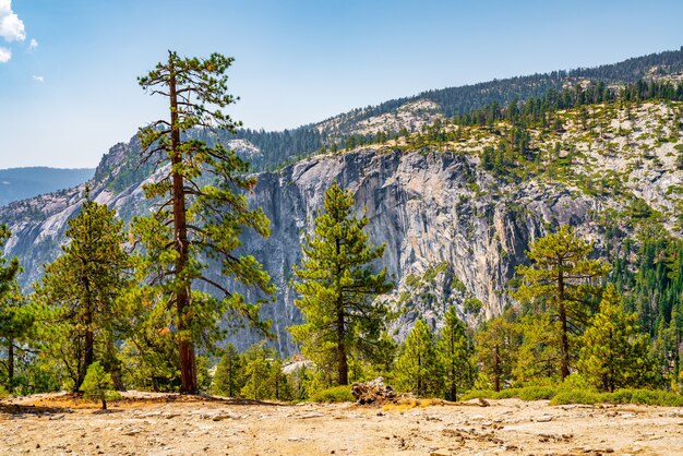 Ujęcie malowniczej przyrody Parku Narodowego Yosemite