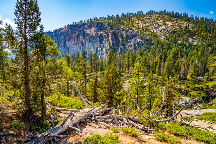 Bezpłatny plik Zdjęcie ujęcie malowniczej przyrody parku narodowego yosemite