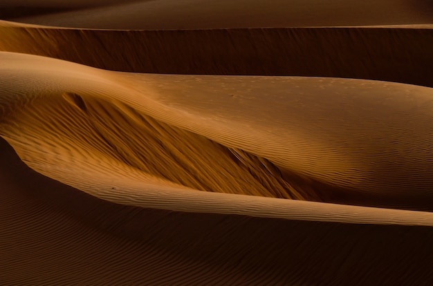 Ujęcie pięknych złotobrązowych wydm na pustyni