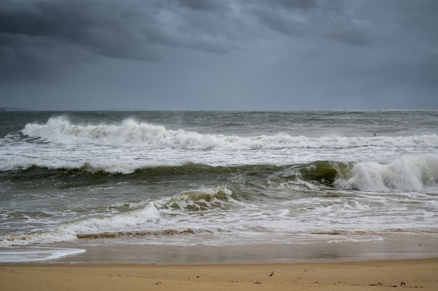 Bezpłatne zdjęcie ujęcie plaży i fal sunshine coast of queensland w australii