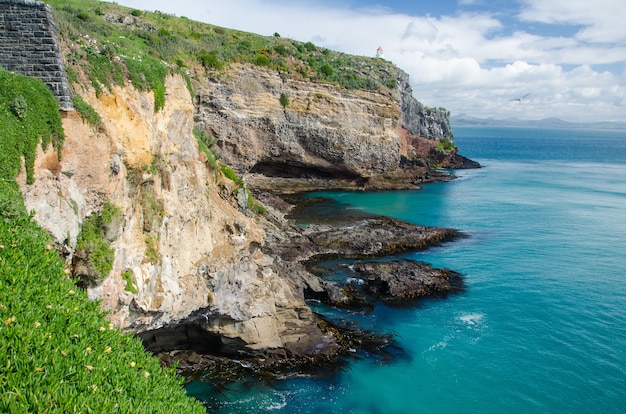 Ujęcie pod wysokim kątem plaży Tunnel Beach w Dunedin w Nowej Zelandii