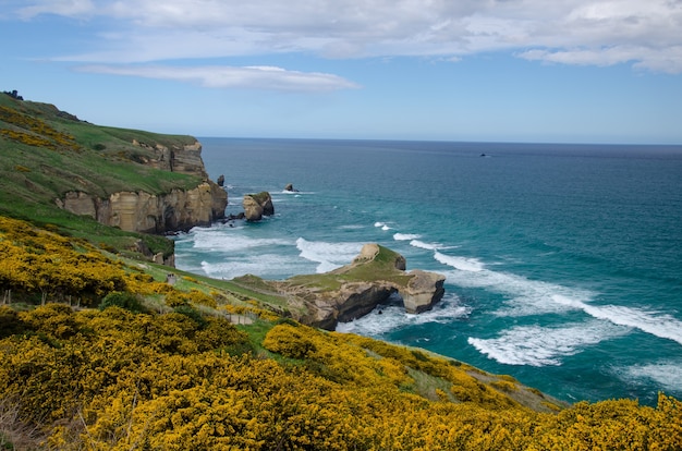 Ujęcie pod wysokim kątem plaży Tunnel Beach w Dunedin w Nowej Zelandii