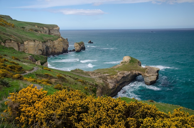 Ujęcie z wysokiego kąta plaży Tunnel Beach w Dunedin w Nowej Zelandii