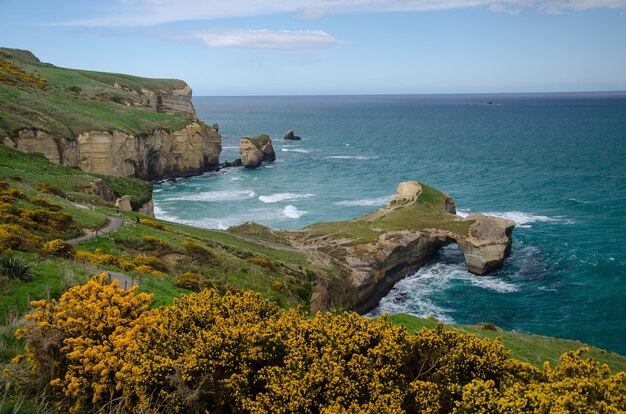 Ujęcie z wysokiego kąta plaży Tunnel Beach w Dunedin w Nowej Zelandii