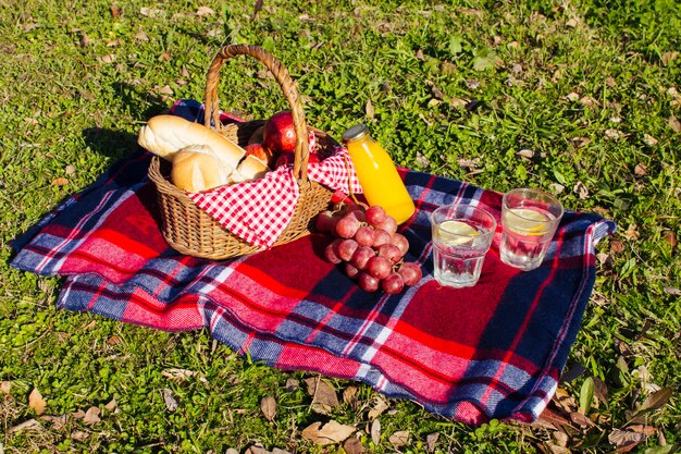 Układ piknikowy wysokiego kąta na trawie