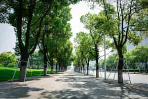 Bezpłatne zdjęcie ulica z drzew