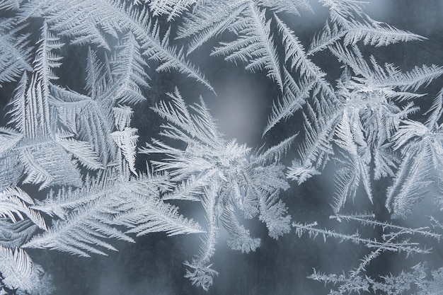 Unikalne wzory lodu na szybie okiennej. kreatywność sezonowości