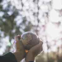 Bezpłatne zdjęcie upraw ręce z małą kulą ziemską w przyrodzie