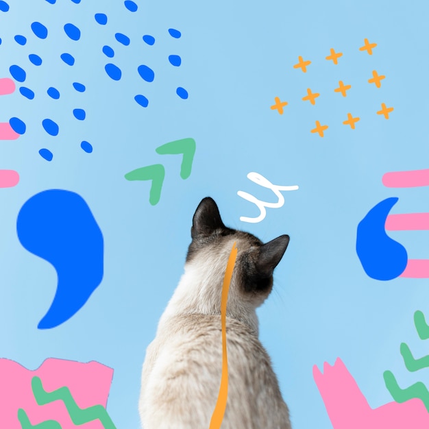 Uroczy kot z abstrakcyjnym kolorowym graficznym tłem