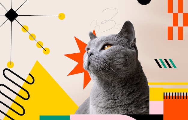 Uroczy kot z abstrakcyjnym kolorowym graficznym tłem