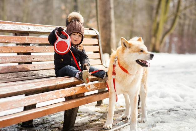 Uroczy mały chłopiec trzyma na smyczy Akita-inu pies siedzi na ławce w parku