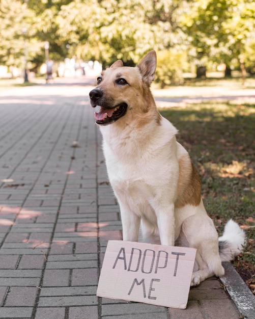 Uśmiechnięty pies z banerem „adoptuj mnie”
