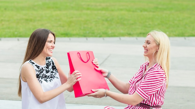 Bezpłatne zdjęcie uśmiechnięty żeński przyjaciel daje różowej papierowej torbie jego przyjaciel