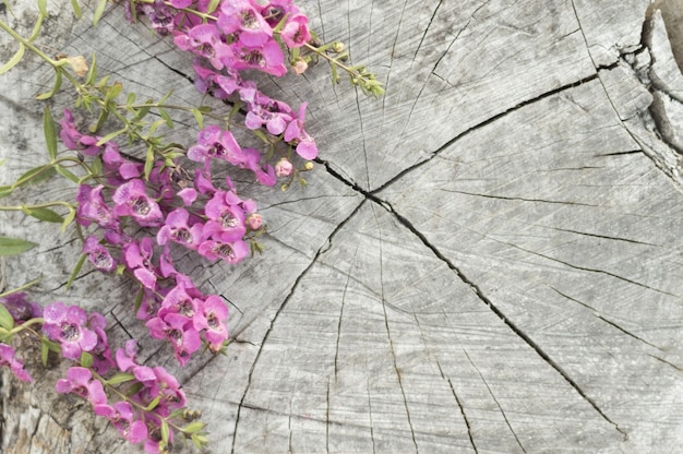 Bezpłatne zdjęcie uszkodzona powierzchnia z pięknych kwiatów
