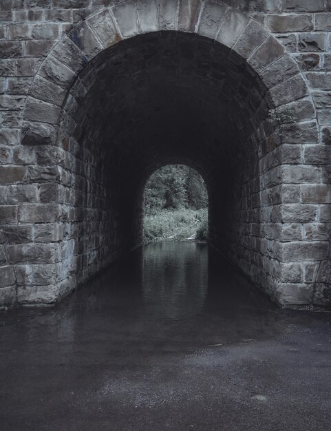 Vertical strzał szary kamienny wodny tunel