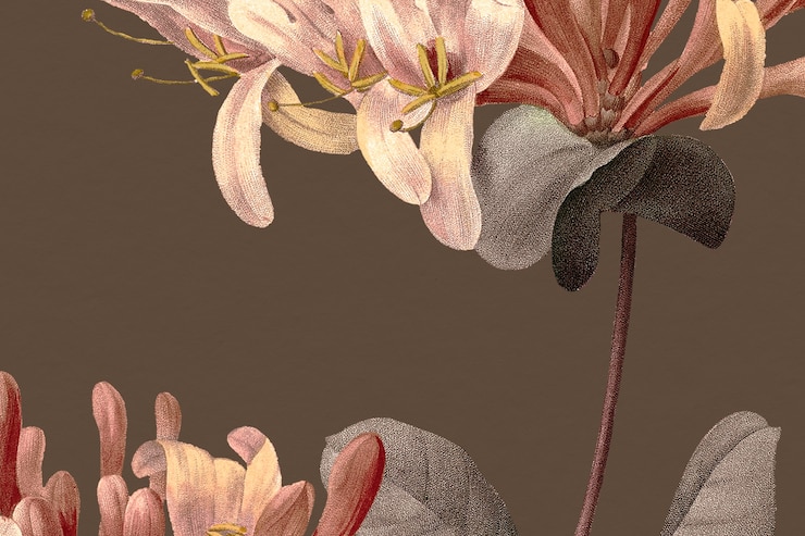 Bezpłatny plik Zdjęcie vintage kwiatowy tło z ilustracją kwiatu wiciokrzewu, zremiksowane z dzieł należących do domeny publicznej