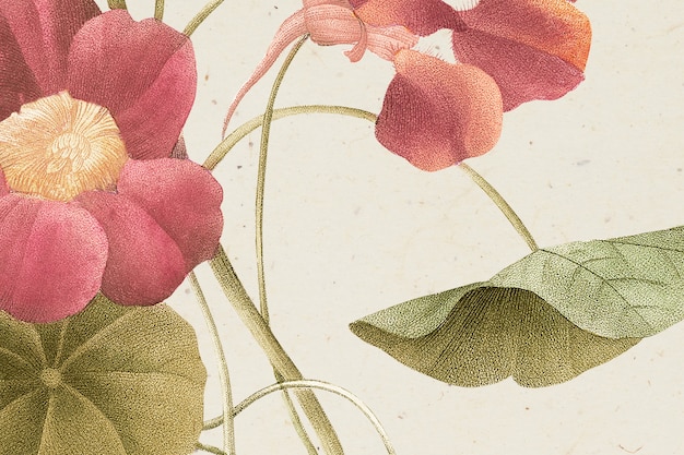Vintage wiosenny kwiat ilustracja tła, zremiksowany z dzieł z domeny publicznej