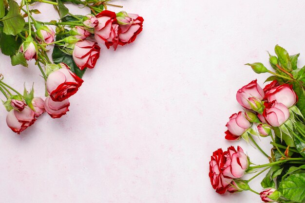 Walentynki tło, karta Walentynki z różami, widok z góry