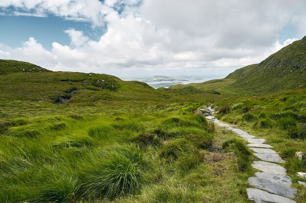 Wąska ścieżka w Parku Narodowym Connemara w Irlandii pod zachmurzonym niebem