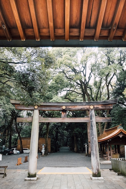 Bezpłatne zdjęcie wejście do bramy torii w japonii