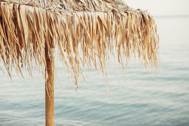 Wiatr wysadza suchą trawę na parasolem na plaży